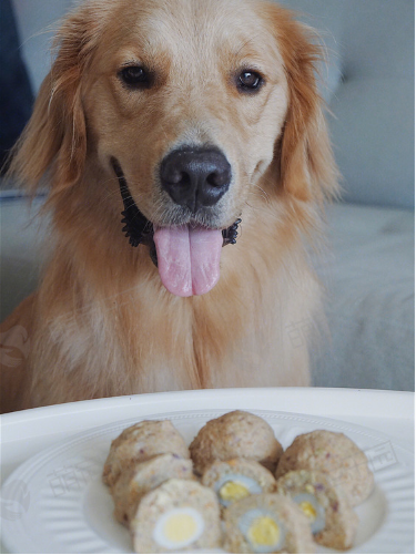 狗狗自制营养肉丸食谱分享