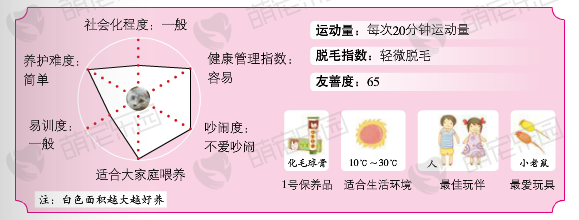 夏特尔猫价格多少钱？夏特尔猫的介绍