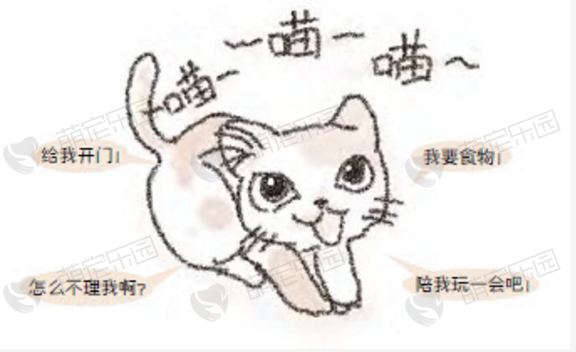 猫咪如何对主人提要求？