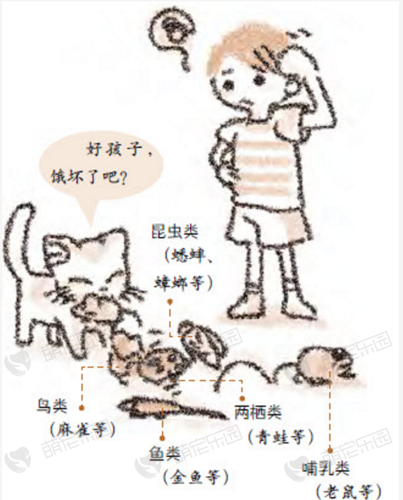 猫咪有时候也会给主人带来猎物