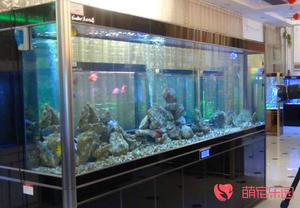 水族箱如何换水