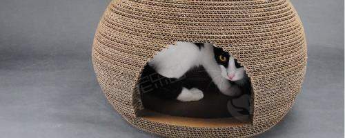 猫窝放在家中哪个位置比较好？